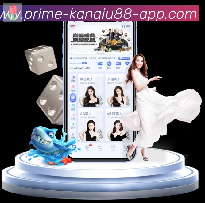 88看球直播服务体系